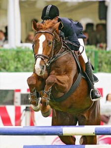 Ulcer in performace horses