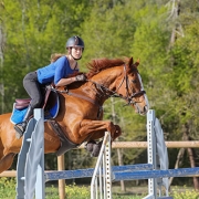 supplements for performance horses