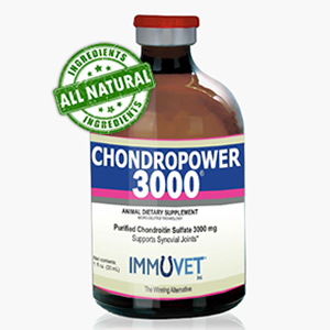 ChondroPower 300®